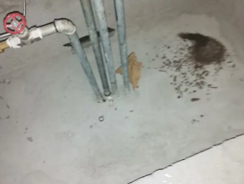 汉中市卫生间测漏水价格明细